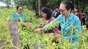 Kegiatan Pemberdayaan Masyarakat