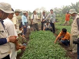 Kegiatan Pemberdayaan Masyarakat